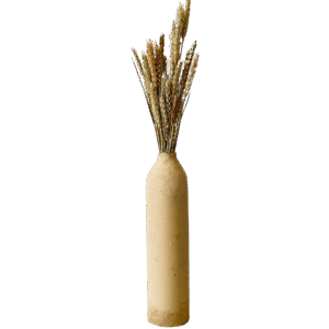 Vase terre brute bords or